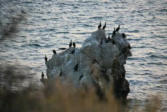 L-aħjar sitt xhur fi Schelkino u Mega adrenaline surf fuq il-mewġ tal-kosta 25994_15