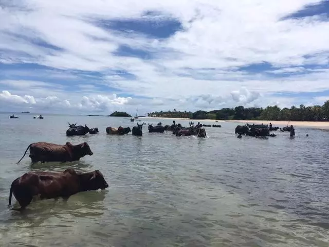 Leeto la beke le beke torong e tsoang ho bongoana: Madagascar Nosybe, Ankara, Antsirana, Ankina, Diégo Suarez le Antananarivo 26095_12