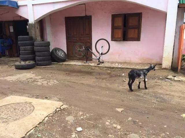 Ukentlig reise i en drøm fra barndommen: Madagaskar Nosybe, Ankarana, Antsiranana, Diégo Suarez og Antananarivo 26095_14