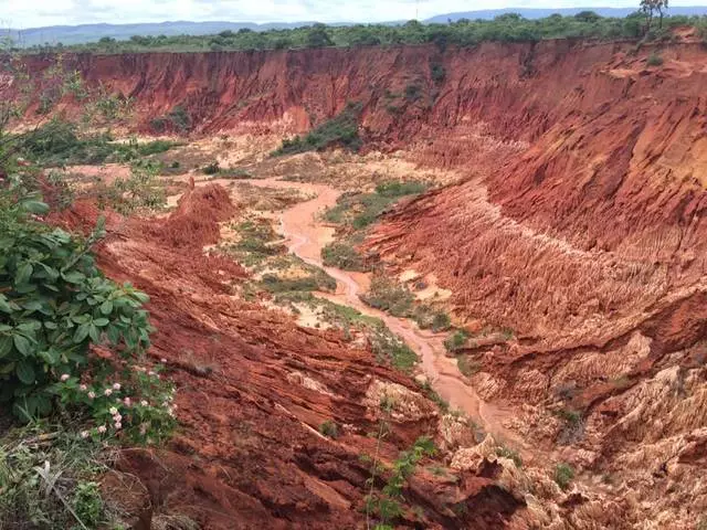 Wöchentliche Reise in einem Traum aus Kindheit: Madagaskar Nosybe, Ankarana, Antssiranana, Diégo Suarez und Antananarivo 26095_26