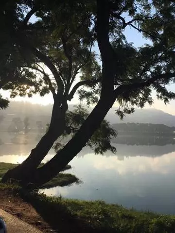 ٻارڙن مان هڪ خواب ۾ هفتيوار سفر: مڊگاسڪر نوساسا، اينڪرينا، اينٽيانينا، ڊنيووريو 26095_40