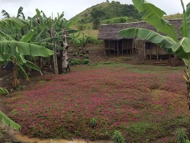 Viaje semanal en un sueño desde la infancia: Madagascar Nosybe, Ankarana, Antsiranana, Diégo Suárez y Antananarivo 26095_9