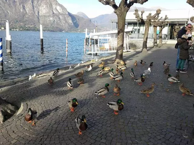 Aigua llisa de blau fosc, iots blancs de neu, enormes muntanyes: paisatges d'ulls emocionants i tota aquesta bellesa al llac como a Itàlia 26167_9