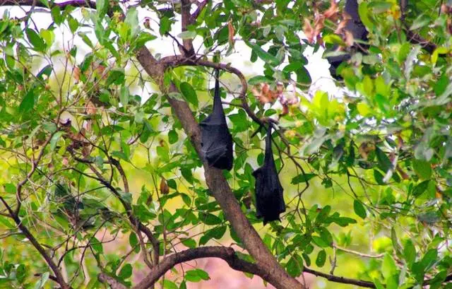 Déi extremsten, déi meescht adrenalin an déi meescht deierst Rees op Darwin 26297_5