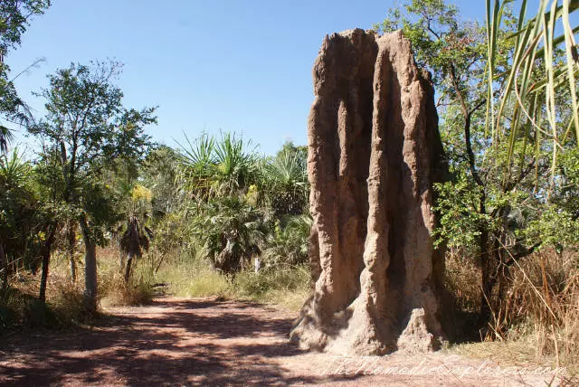 Nejvíce extrémní, nejvíce adrenalin a nejdražší cesta do Darwin 26297_6