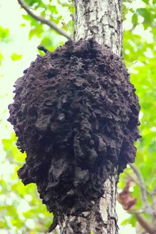 Najbolj ekstremna, večina adrenalina in najdražja pot do Darwina 26297_7