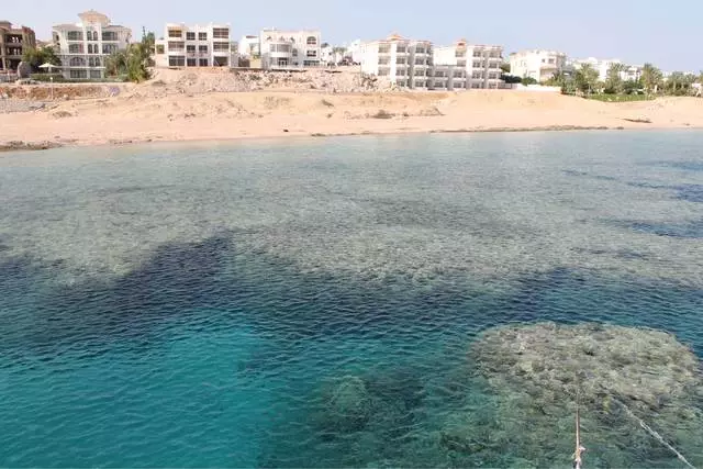 Sharm El-Sheikh, ég kem aftur. 26342_4