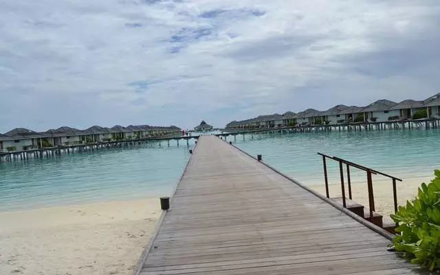 Chữa bệnh Maldives. 26548_2