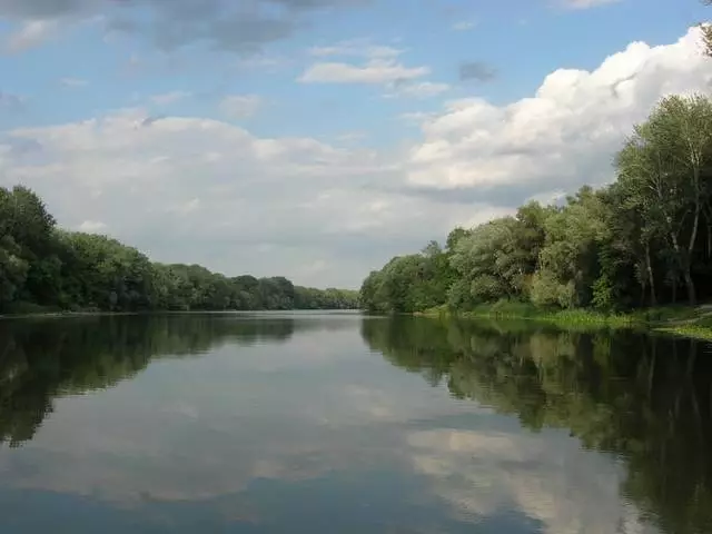 Святогорск - Украина Швейцария