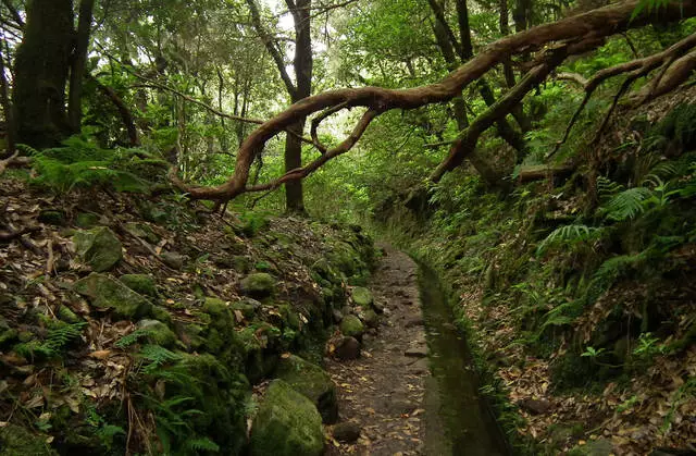 Madeira - Illa de primavera eterna e fermosas paisaxes 26733_3