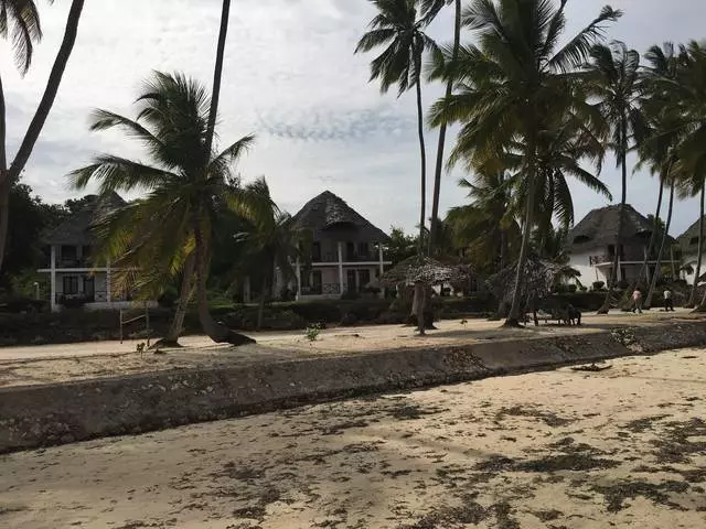 Nema problema na Zanzibaru ili Akun Matata!