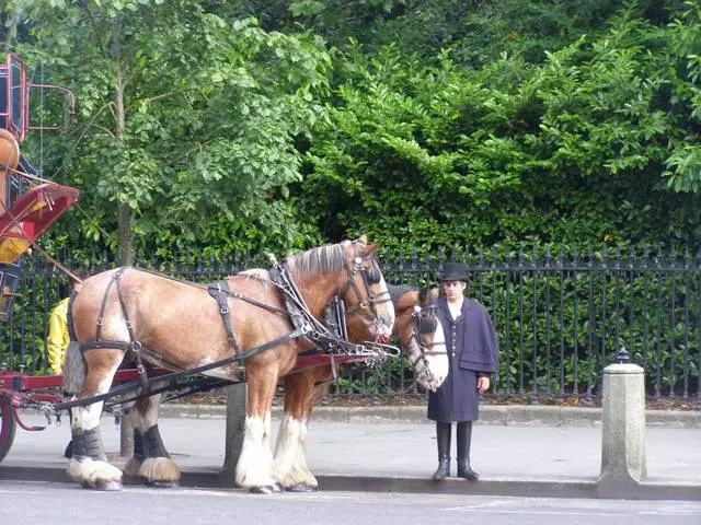 Dublin - Pub dan Taman 27593_2