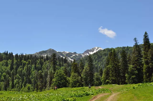 Որ դիմումը ընտրելու է Աբխազիայում: 280_1