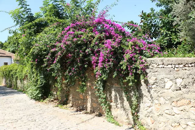 Ein gwibdaith i Alanya Kalesi. Awgrymiadau ac argraffiadau defnyddiol. 28217_3