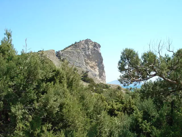 Cahaya baru - syurga kecil di Crimea 2840_12