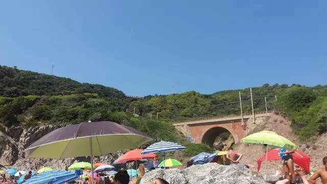 Spiaggia rocciosa nelle vicinanze di Livorno 28945_2