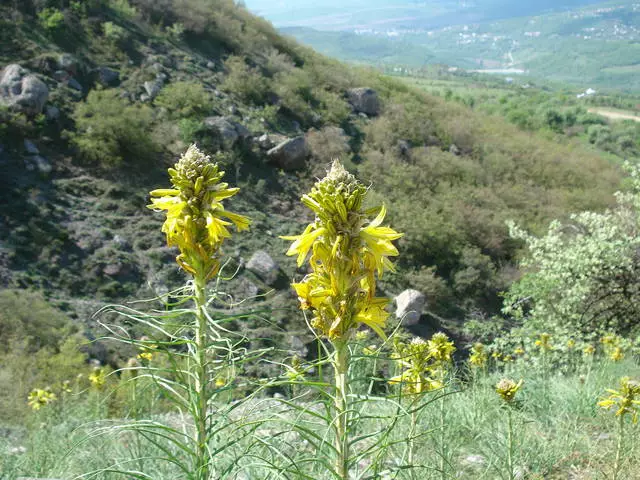 Alushta - letovišče vse leto! 2942_13