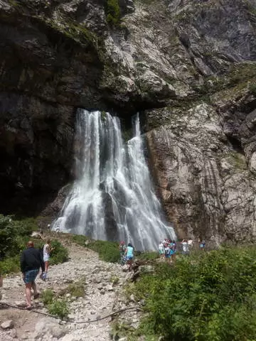 Hvernig í stað þess að pitsunda komast inn í S. Alhadze og ekki fara brjálaður frá leiðindum 29462_4