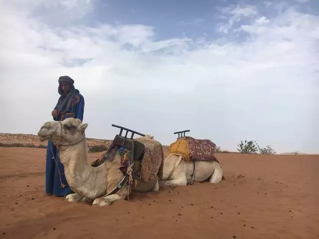 ಕಡಲತೀರಗಳು ಅಗಾದಿರ್ 29777_4