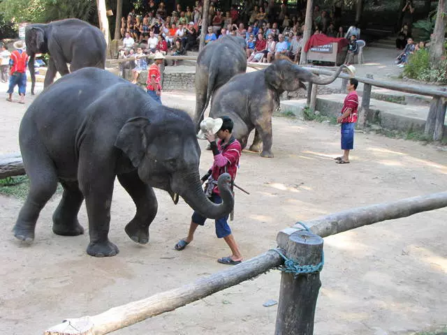 Is het de moeite waard om met kinderen te gaan om in Chiang te rusten? 2999_2