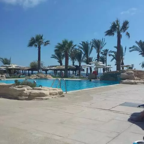 Paphos ea lipale. 30473_2