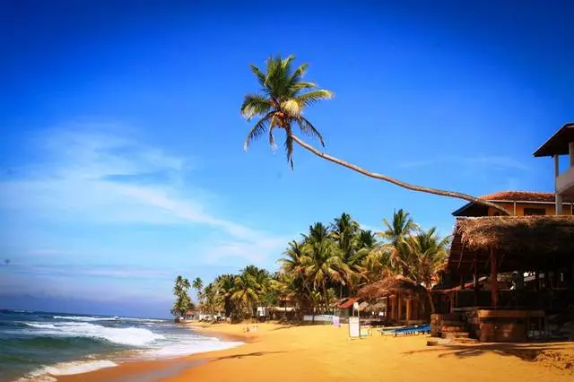 Беҳтарин курортҳои SRI Lanka. Беҳтараш истироҳат кунед? 31567_2