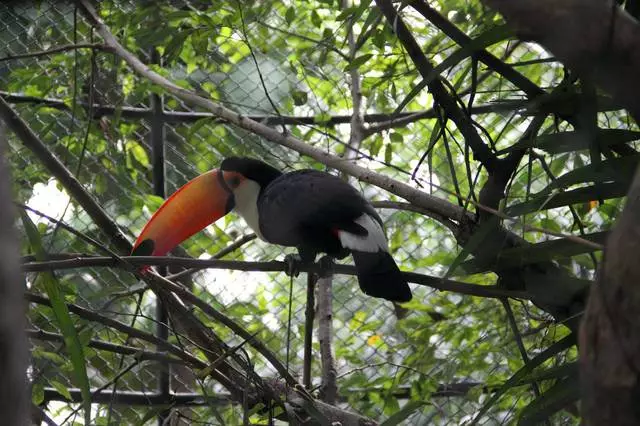 Phuket Zoo.