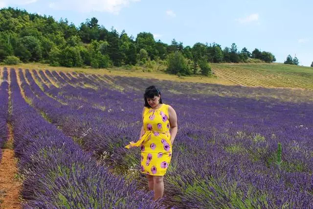 Avignon - Provença Garantia del cor! Mar de lavanda i antic tron ​​papal! 32537_1