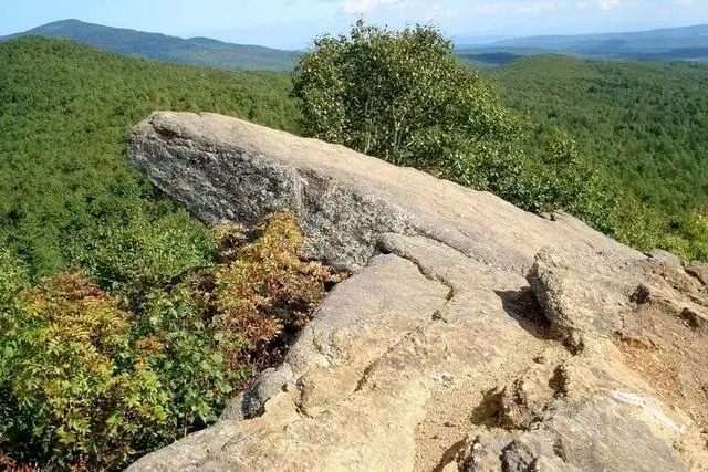 Ni safari gani inayofaa kutembelea Yuzhno-Sakhalinsk? 33074_4