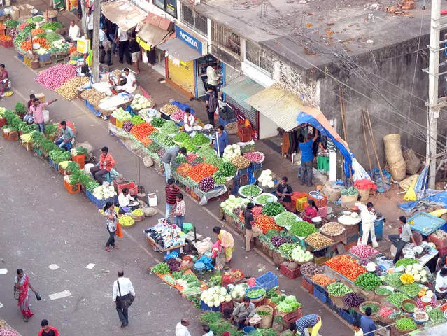 די מערסט טשיקאַווע יקסקערזשאַנז אין קאַנדאָלים. 33376_2