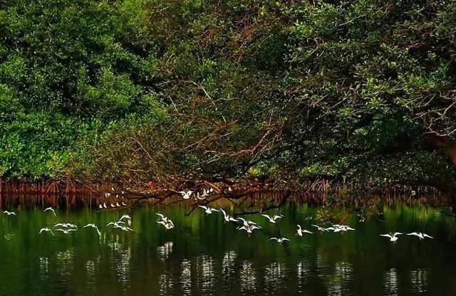 Kunjungan paling menarik di Kandolim. 33376_3