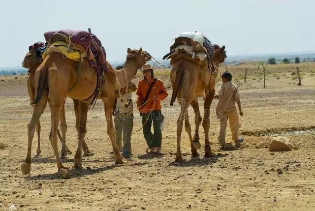 Jodhpur: Fialam-boly amin'ny fialan-tsasatra 33482_2