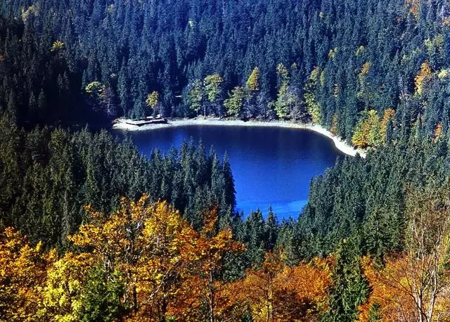 Wéi eng Excursioune derwäert ze besichen zu Morshin?