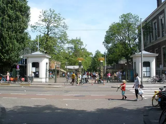 Rust met kinderen in Amsterdam. Bruikbare tips.