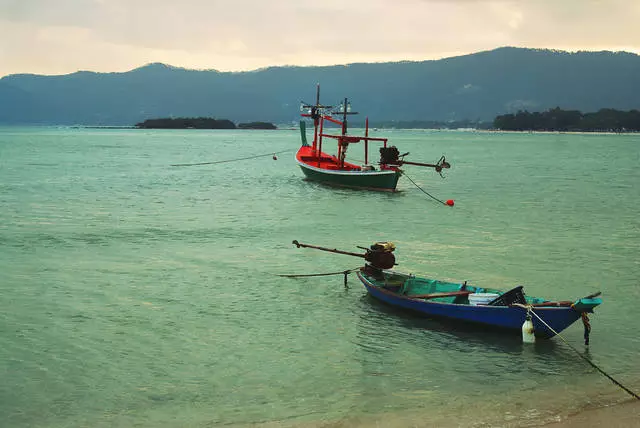 Op Coconut Island, Dream Island