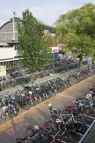 Troškovi usluga u Amsterdamu. Što se može naručiti?