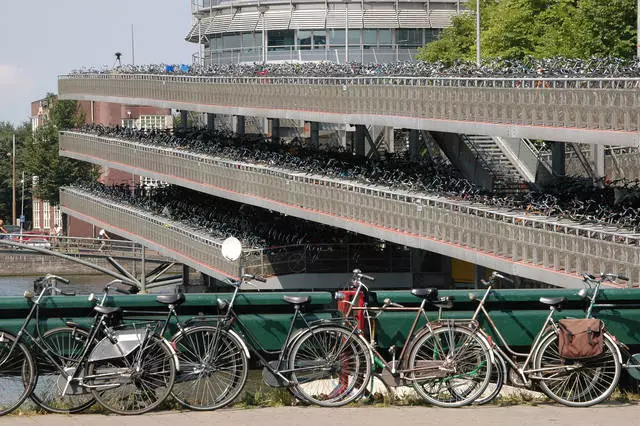 De kosten foar tsjinsten yn Amsterdam. Wat kin besteld wurde? 3473_20