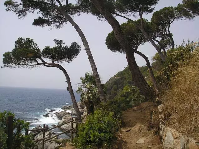 Quel est l'hôtel de choisir de se détendre à Loret de Mare? 3479_2