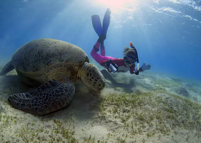 Kumaha carana nyandak diri dina liburan di Marsa alam?