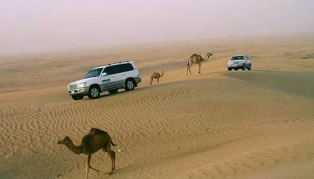 ¿Qué hacer en vacaciones en Naama Bay? Mejor entretenimiento. 35085_2