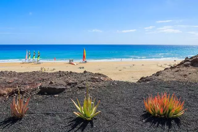 Que é interesante ver a Fuerteventura?