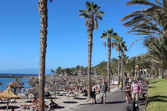 Beste Zeit, um in Playa de las Americas zu bleiben