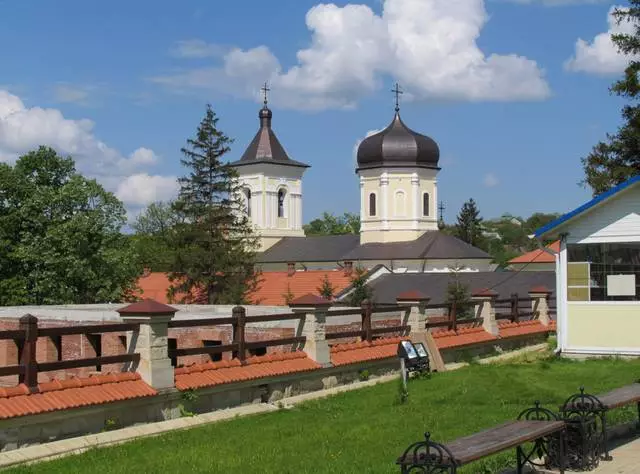 Betlaneya serbixwe li Moldova. Pêşniyar û Pêşniyar. 3553_5