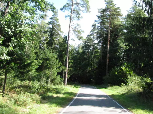 Belovezhskaya Forest - labai, labai, labai graži vieta! 3584_2