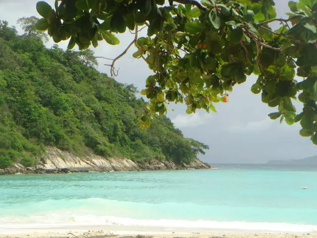 Sina mea e uiga i foliga o malologa i luga o le phuket