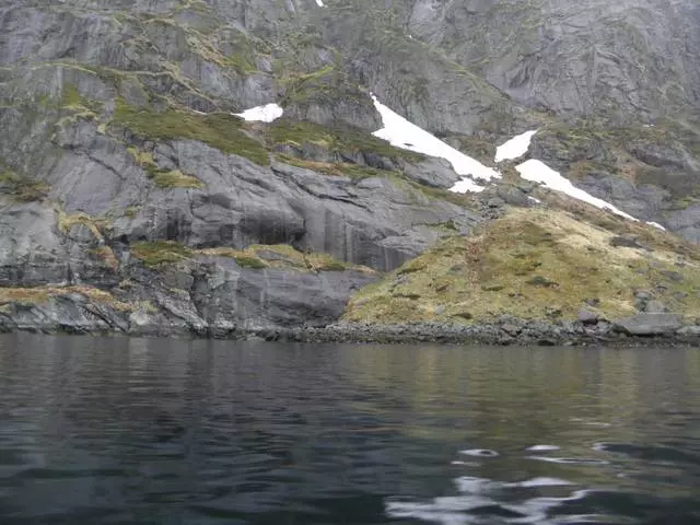 Underwater Jongting yn Noarwegen, Trondheim, OH. Hitra 3602_1