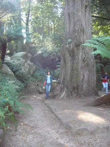 ¿Cuándo es mejor descansar en Sintra? 3611_3