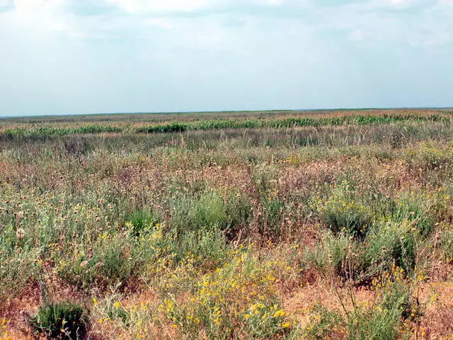 Wéi eng Excursiounen derwäert am Kirillovka ze besichen? 3908_2