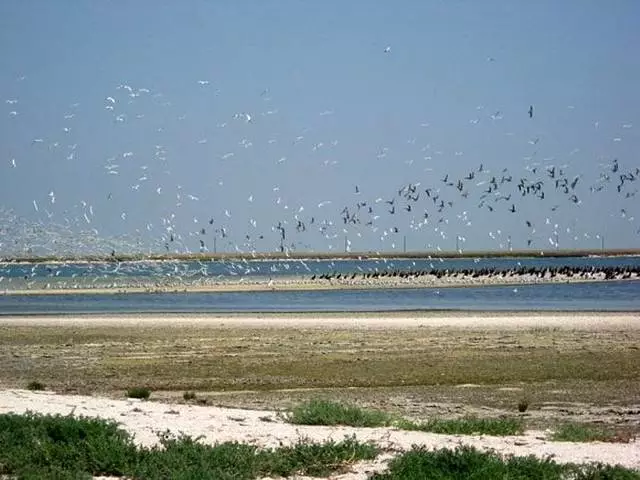 Quais excursões valem a pena visitar em Kirillovka? 3908_3