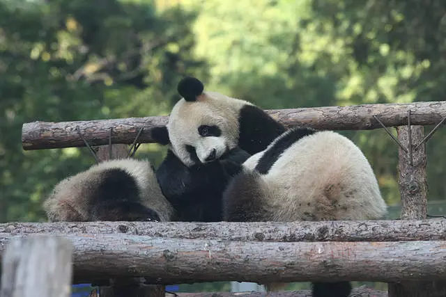 Koji izleti vrijede posjetiti u Pekingu? 4197_1